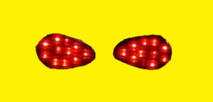 Honda Indicator